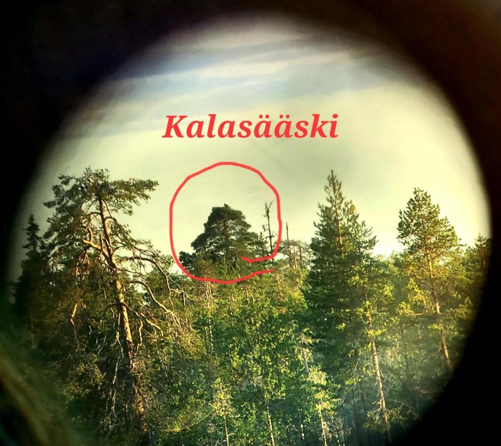 Salen Saunamoekki Ranua Exterior foto